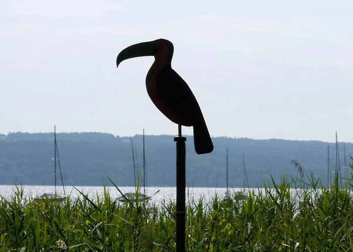 Dom wakacyjny Seegrundstueck Mit Huette & Ruderboot